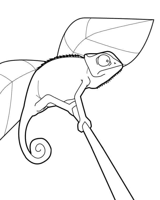 Coloriage gratuit Caméléon #206720 de la collection Animaux à imprimer
