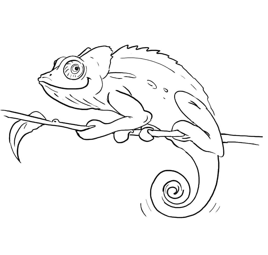 Coloriage gratuit Caméléon #206725 de la collection Animaux à imprimer