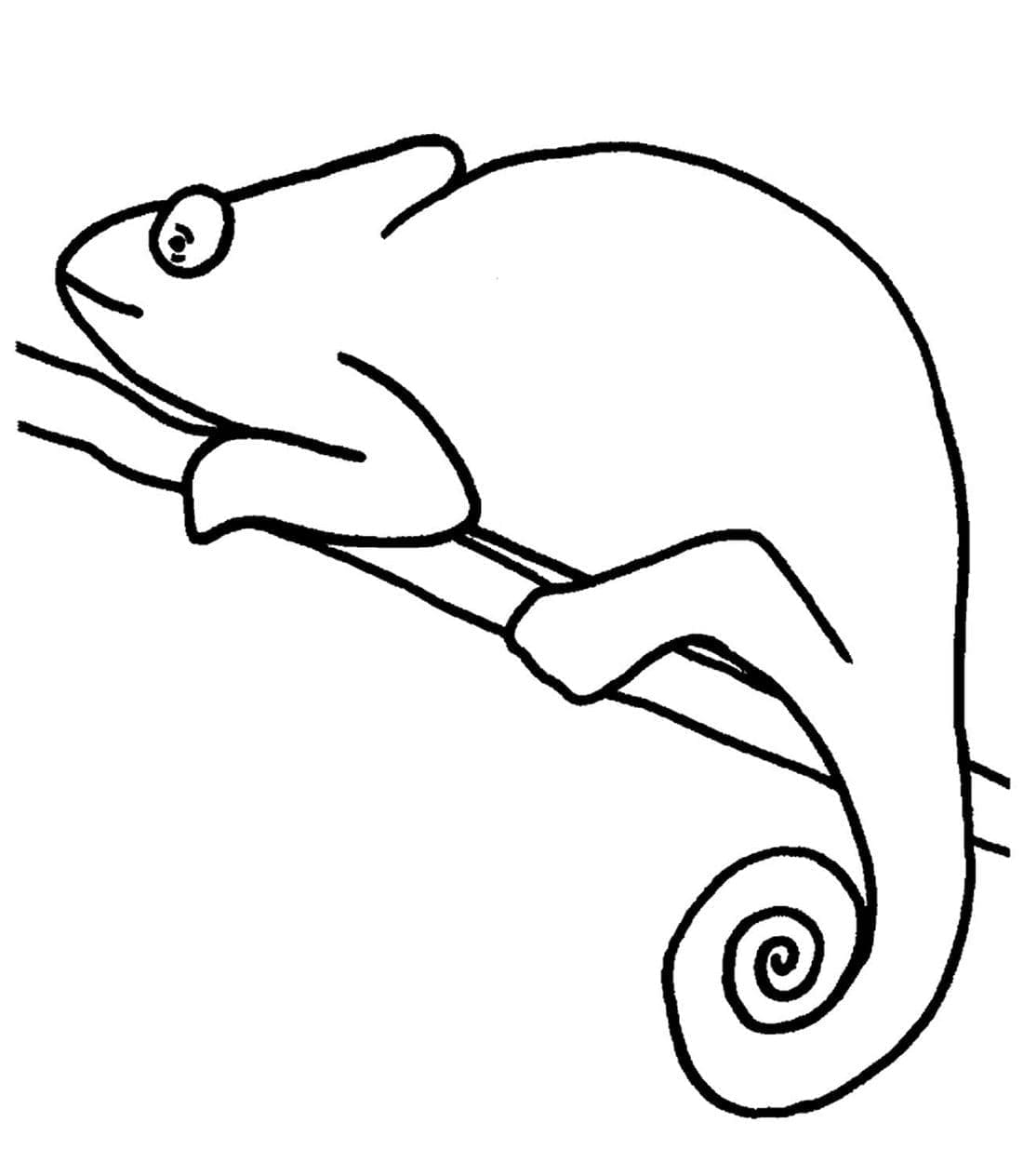 Coloriage gratuit Caméléon #206743 de la collection Animaux à imprimer