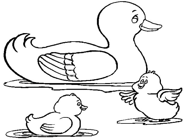 Dessin à colorier: Canard (Animaux) #1445 - Coloriages à Imprimer Gratuits