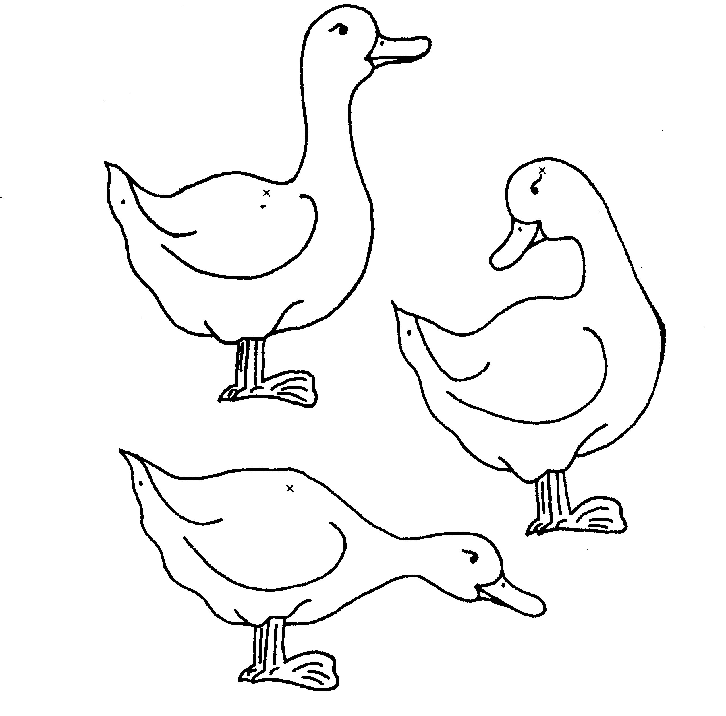 Dessin à colorier: Canard (Animaux) #1456 - Coloriages à Imprimer Gratuits