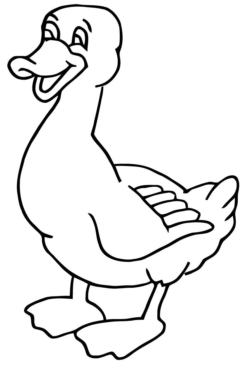 Dessin à colorier: Canard (Animaux) #1463 - Coloriages à Imprimer Gratuits