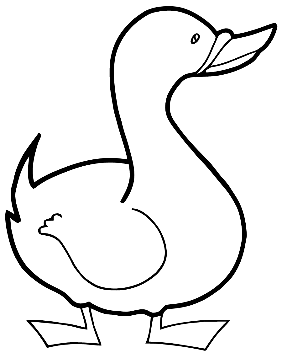 Dessin à colorier: Canard (Animaux) #1484 - Coloriages à Imprimer Gratuits