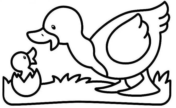 Dessin à colorier: Canard (Animaux) #1516 - Coloriages à Imprimer Gratuits
