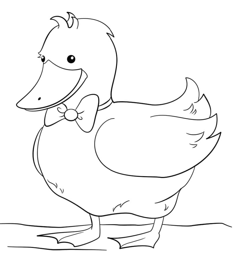 Coloriage gratuit Canard #185515 de la collection Animaux à imprimer