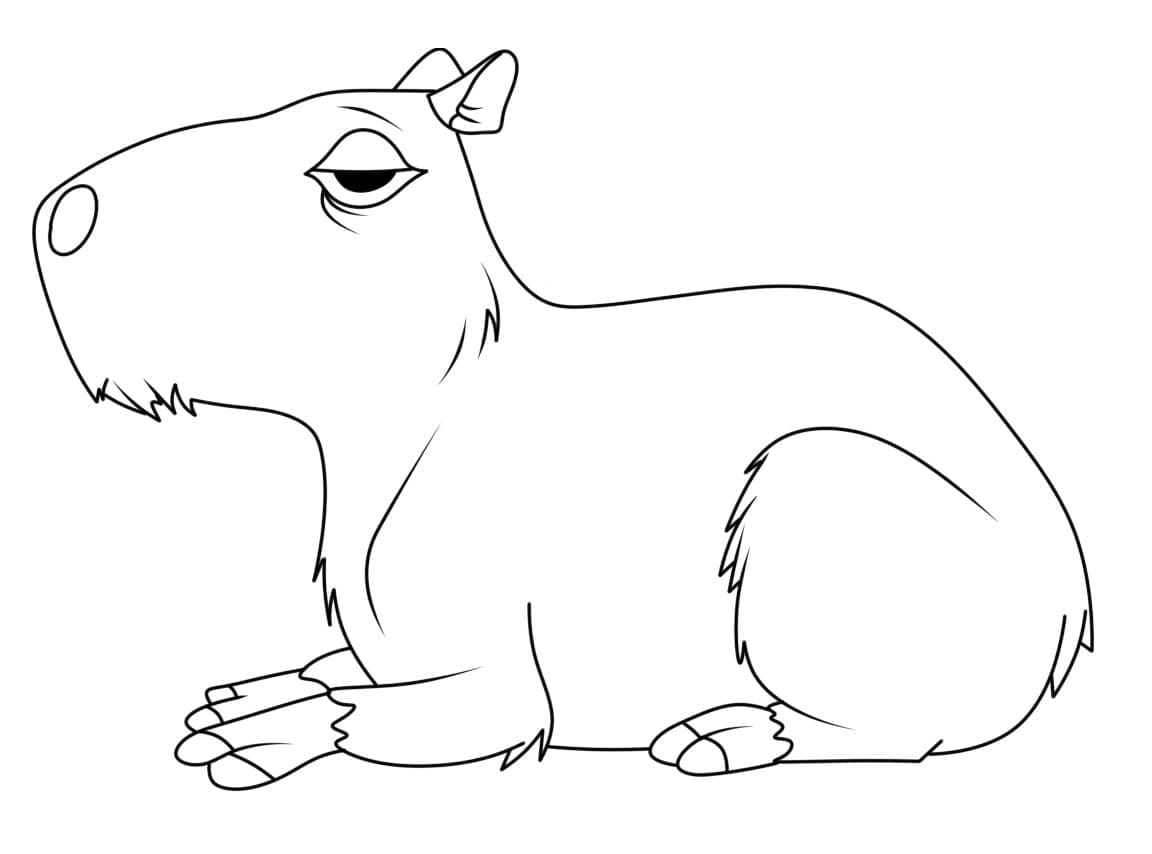 Coloriage à imprimer Capybara #207587 de la série Animaux, gratuit pour enfants et adultes