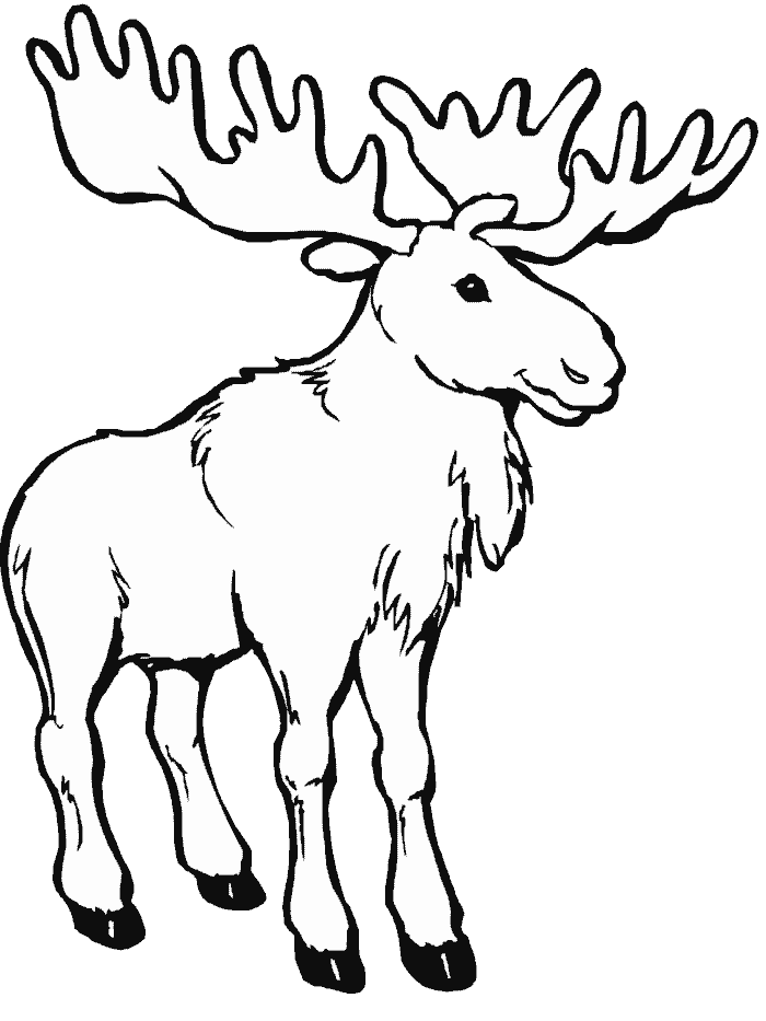 Dessin à colorier: Caribou (Animaux) #1542 - Coloriages à Imprimer Gratuits