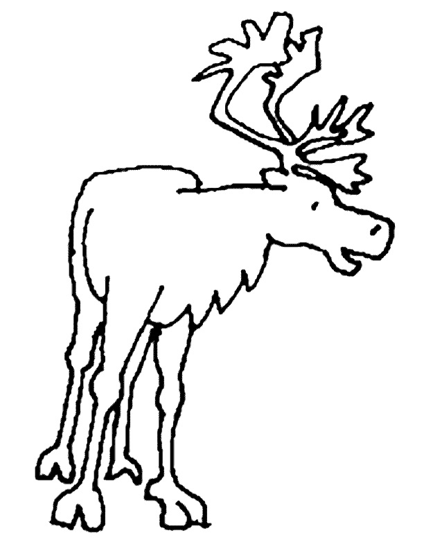 Dessin à colorier: Caribou (Animaux) #1549 - Coloriages à Imprimer Gratuits