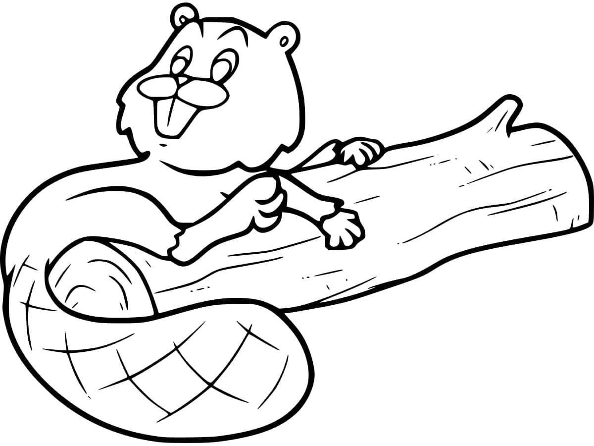 Joli coloriage Castor #207209 de la collection Animaux, prêt à imprimer pour petits et grands