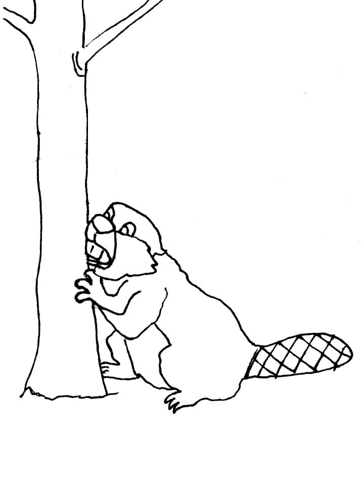 Joli coloriage Castor #207223 de la collection Animaux, prêt à imprimer pour petits et grands