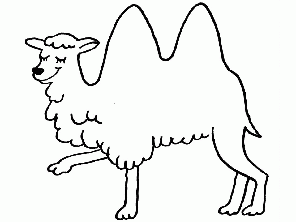 Dessin à colorier: Chameau (Animaux) #1683 - Coloriages à Imprimer Gratuits