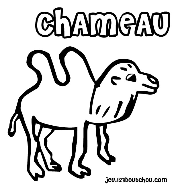 Dessin à colorier: Chameau (Animaux) #1720 - Coloriages à Imprimer Gratuits