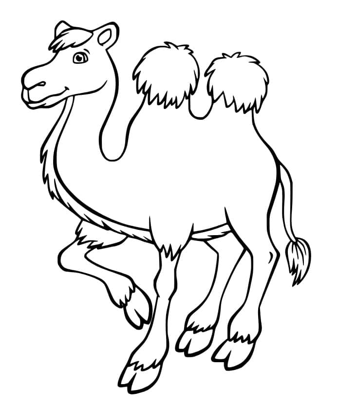 Dessin Chameau #205462 à colorier de la série Animaux, gratuit à télécharger et imprimer
