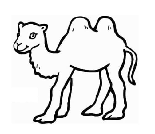 Coloriage gratuit Chameau #205466 de la collection Animaux à imprimer