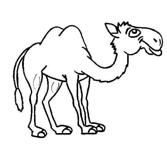 Coloriage gratuit pour enfants et adultes Chameau #205485, collection Animaux