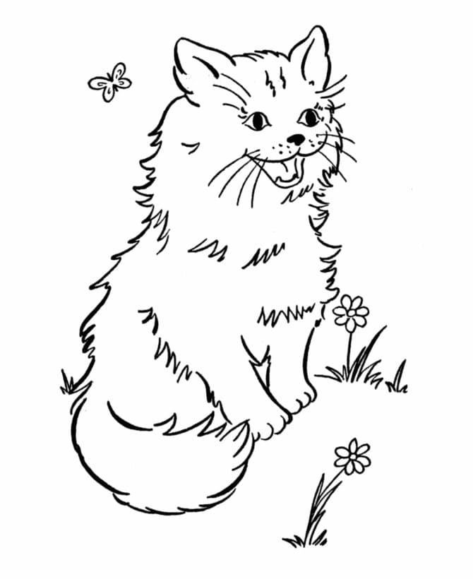 Dessin à colorier Chat #174963 issu de la collection Animaux, prêt à imprimer