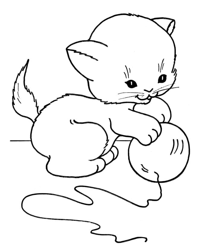Coloriage gratuit Chat #174973 de la collection Animaux à imprimer