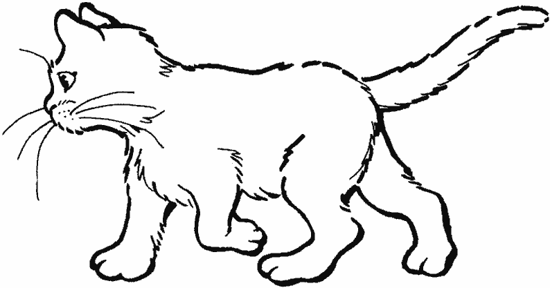 Dessin à colorier: Chaton (Animaux) #18029 - Coloriages à Imprimer Gratuits