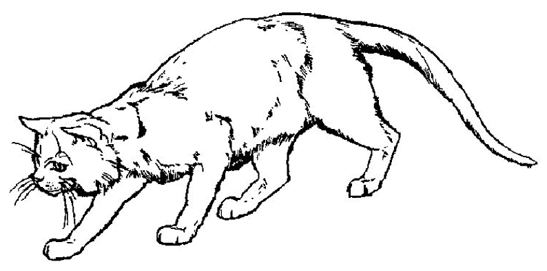 Dessin à colorier: Chaton (Animaux) #18059 - Coloriages à Imprimer Gratuits