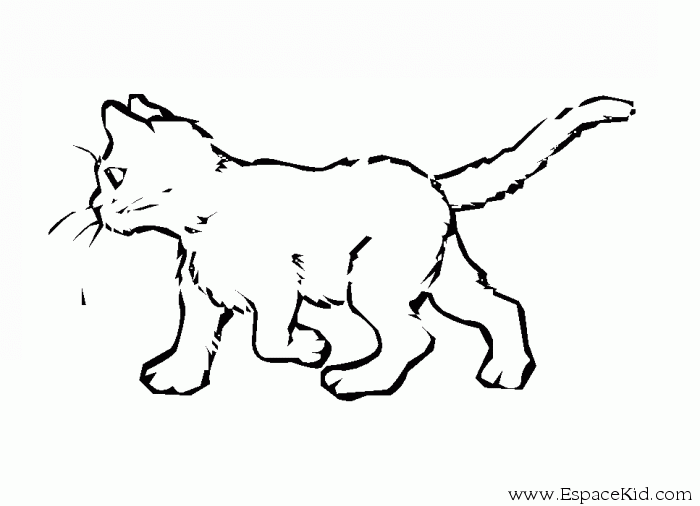 Dessin à colorier: Chaton (Animaux) #18067 - Coloriages à Imprimer Gratuits