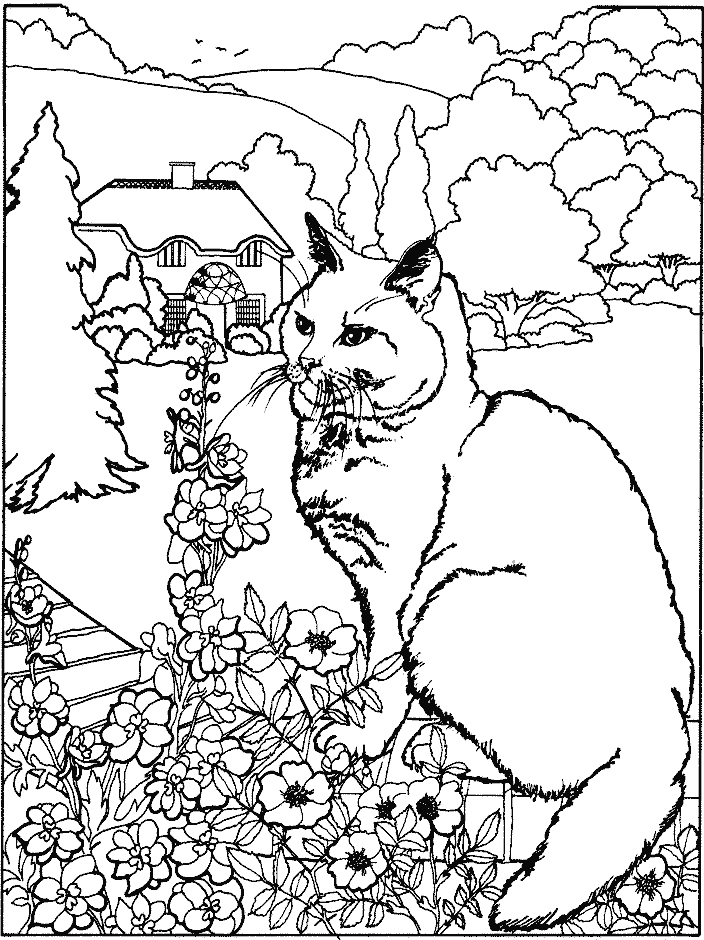 Dessin à colorier: Chaton (Animaux) #18078 - Coloriages à Imprimer Gratuits