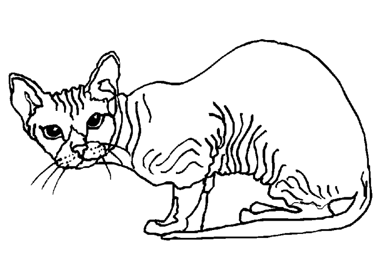 Dessin à colorier: Chaton (Animaux) #18079 - Coloriages à Imprimer Gratuits