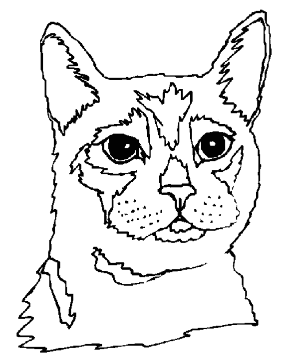 Dessin à colorier: Chaton (Animaux) #18082 - Coloriages à Imprimer Gratuits