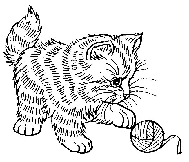 Chat coloriage Coloriage Chat
