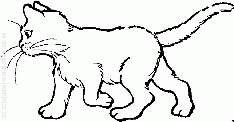 Dessin à colorier: Chaton (Animaux) #18112 - Coloriages à Imprimer Gratuits