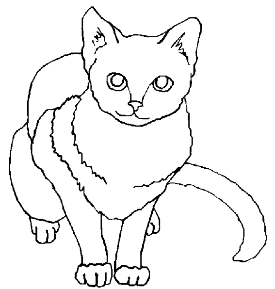 Dessin à colorier: Chaton (Animaux) #18143 - Coloriages à Imprimer Gratuits