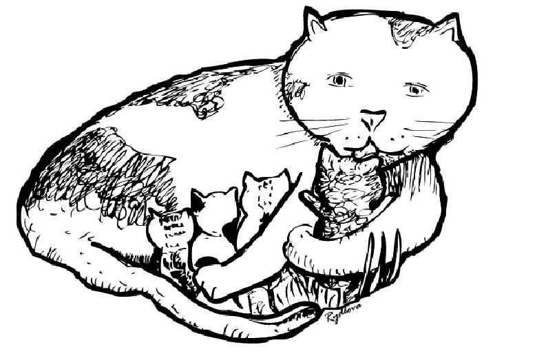 Dessin à colorier: Chaton (Animaux) #18145 - Coloriages à Imprimer Gratuits