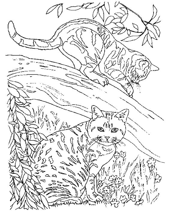 Dessin à colorier: Chaton (Animaux) #18146 - Coloriages à Imprimer Gratuits