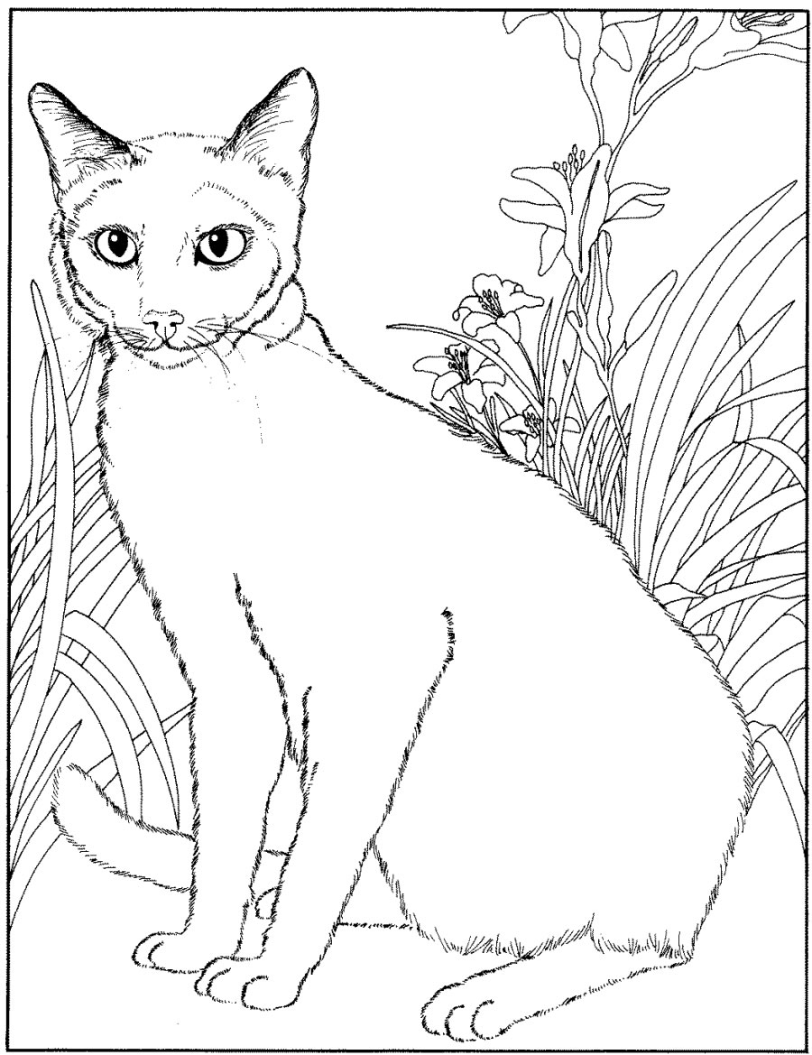 Dessin à colorier: Chaton (Animaux) #18205 - Coloriages à Imprimer Gratuits