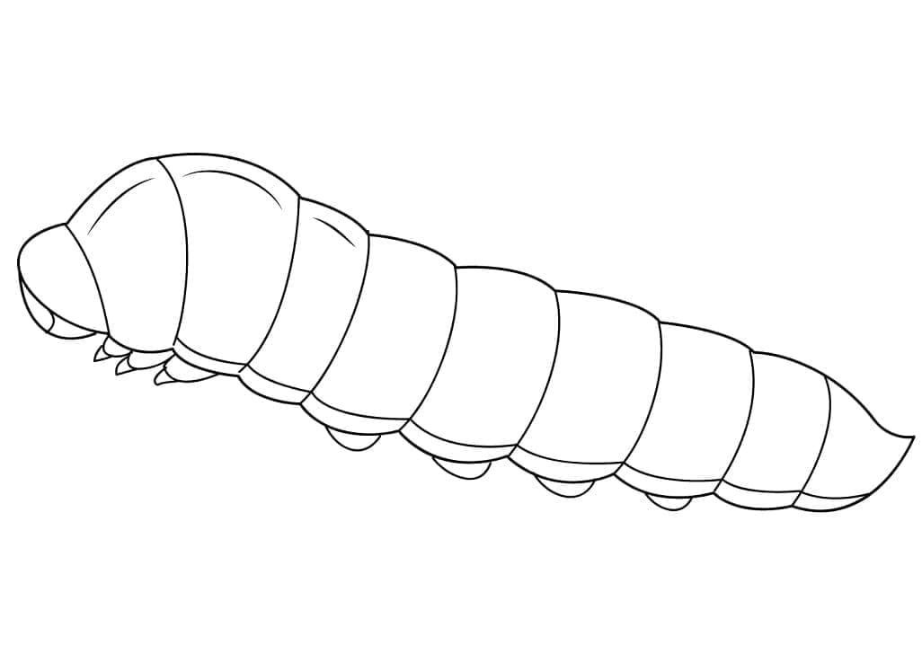 Coloriage gratuit Chenille #210381 de la collection Animaux à imprimer