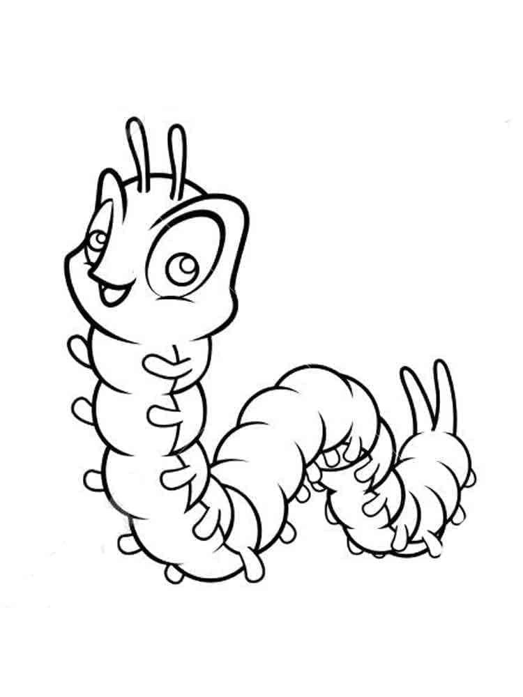 Dessin Chenille #210398 à colorier de la série Animaux, gratuit à télécharger et imprimer