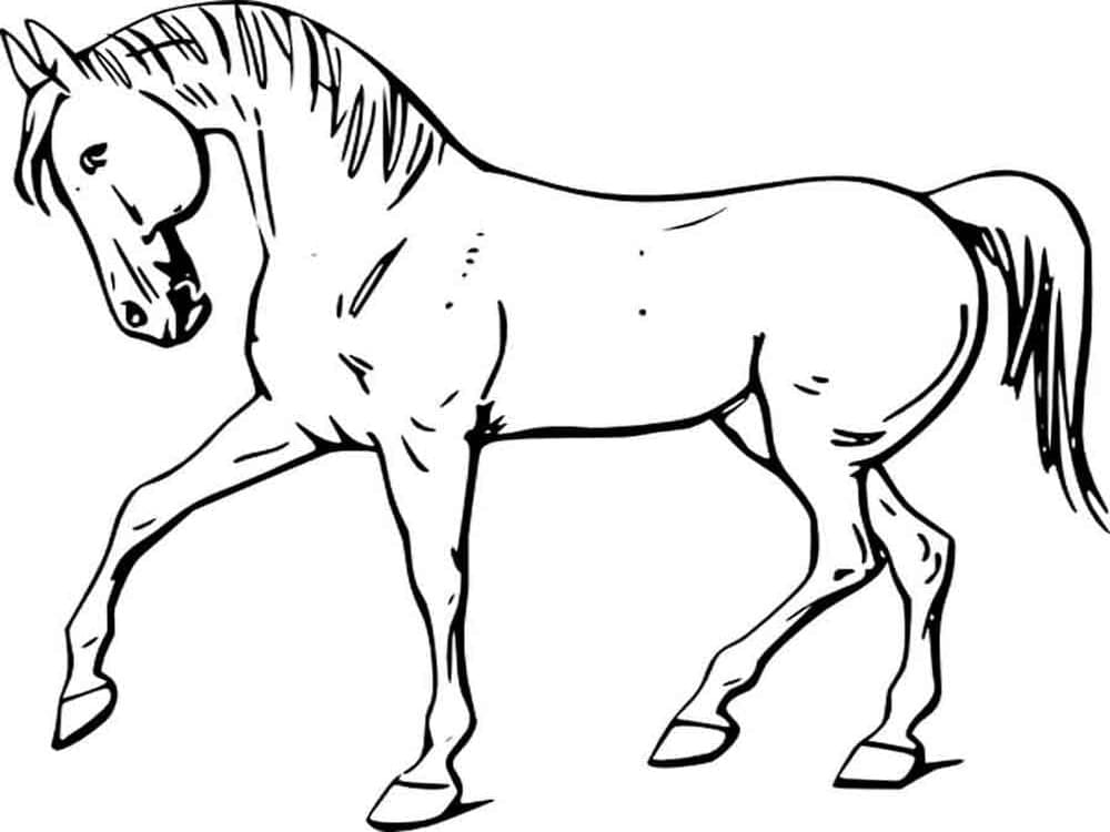 Coloriage imprimable Cheval #178258 de la collection Animaux à colorier aux crayons