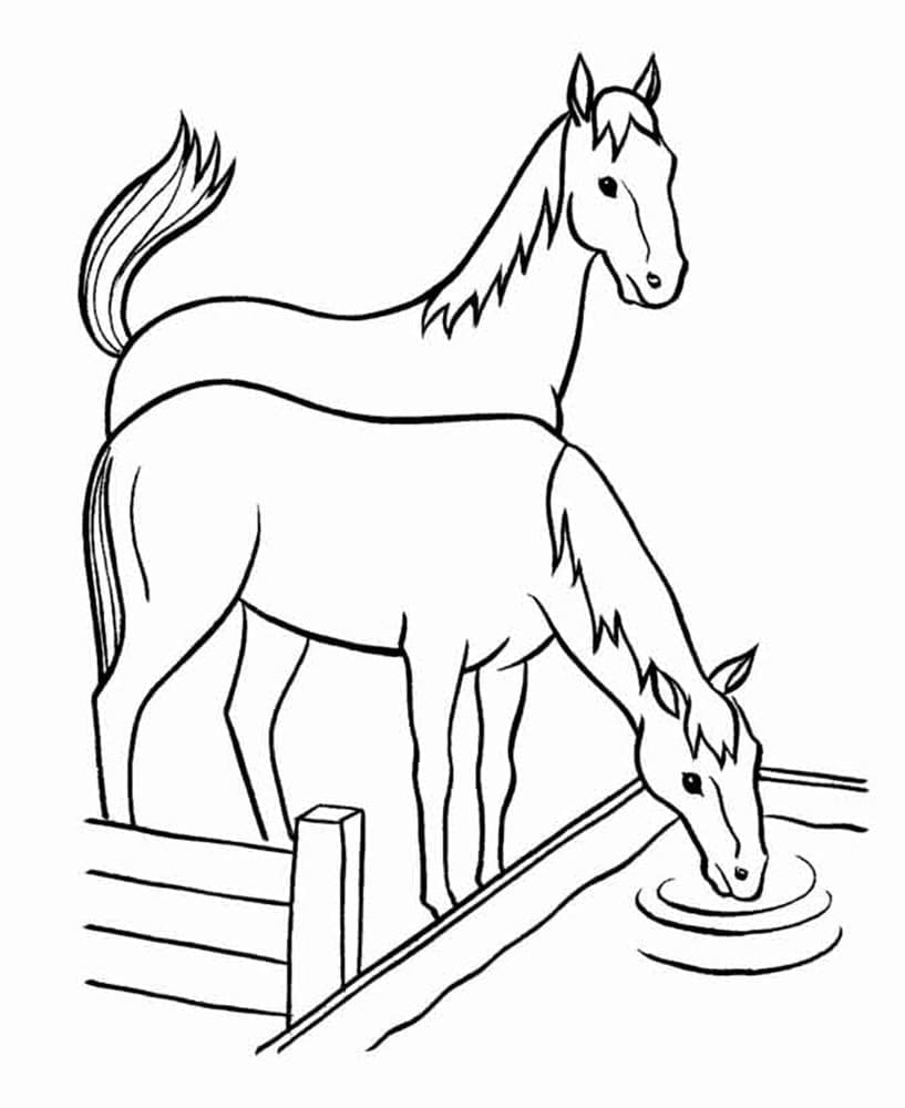 Joli coloriage Cheval #178276 de la collection Animaux, prêt à imprimer pour petits et grands Joli coloriage Cheval #178276 de la collection Animaux, prêt à imprimer pour petits et grands