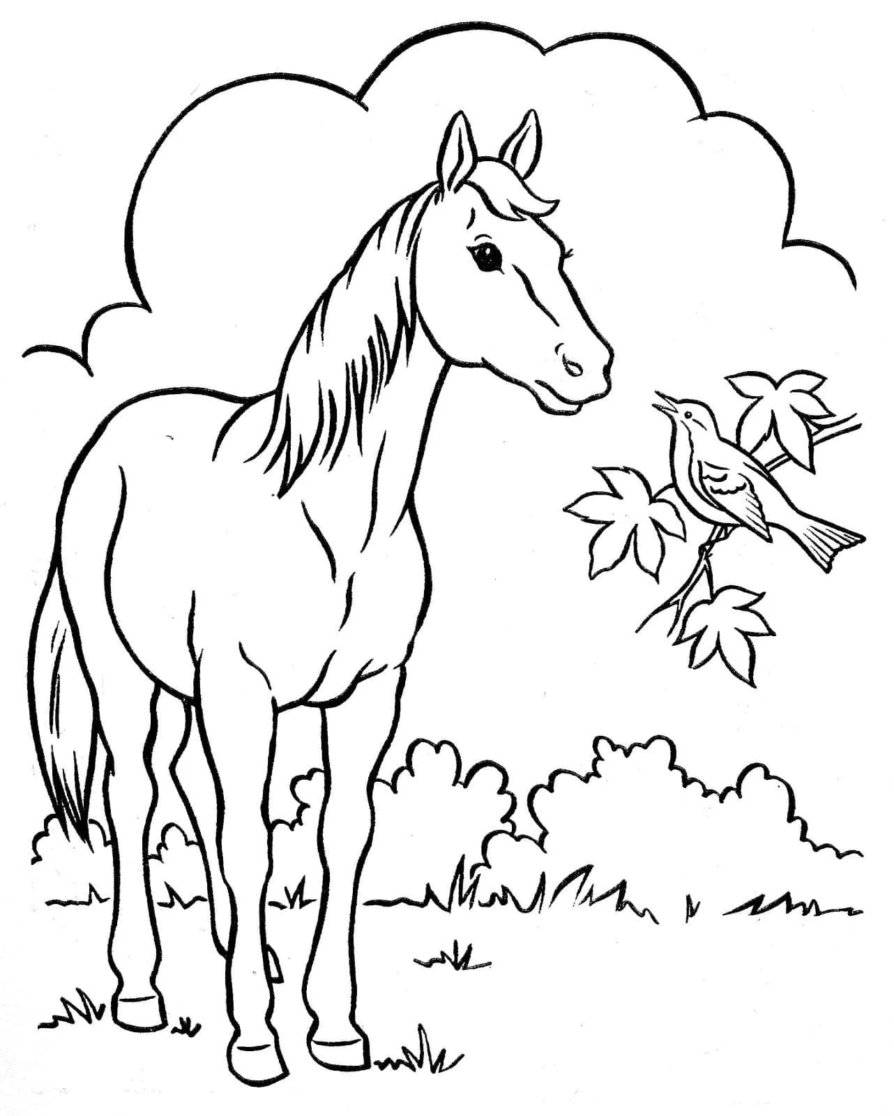 Dessin Cheval #217700 à colorier de la série Animaux, gratuit à télécharger et imprimer