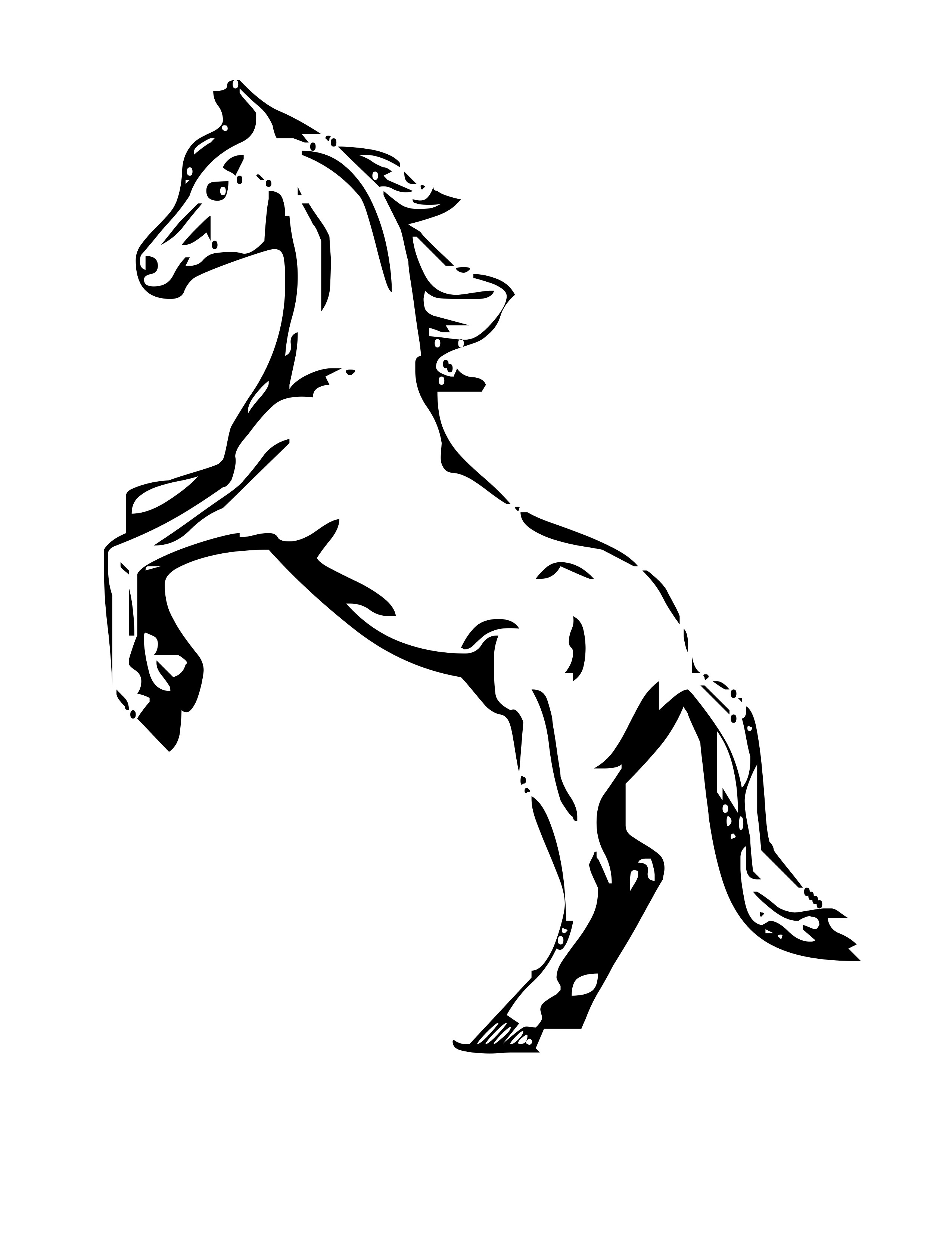 Лошадка черно белая. Раскраска. Лошади. Раскраска конь. Лошадь рисунок раскраска. Раскраска лошадь на дыбах.