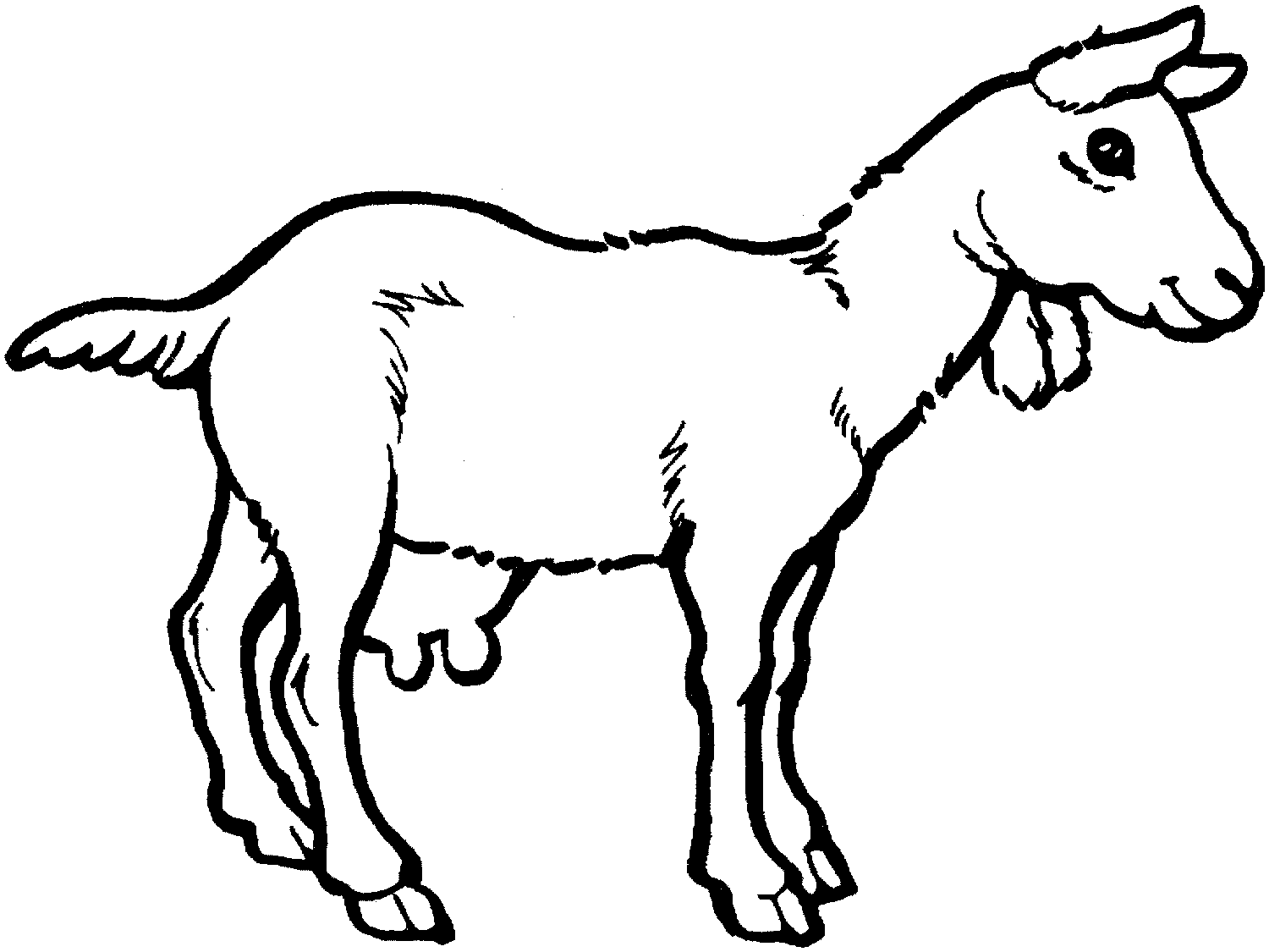 Dessin à colorier: Chèvre (Animaux) #2408 - Coloriages à Imprimer Gratuits