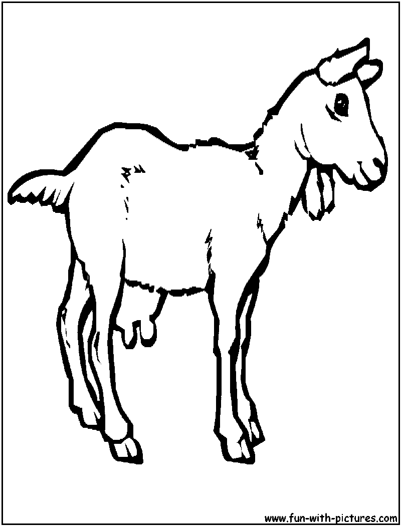 Dessin à colorier: Chèvre (Animaux) #2422 - Coloriages à Imprimer Gratuits