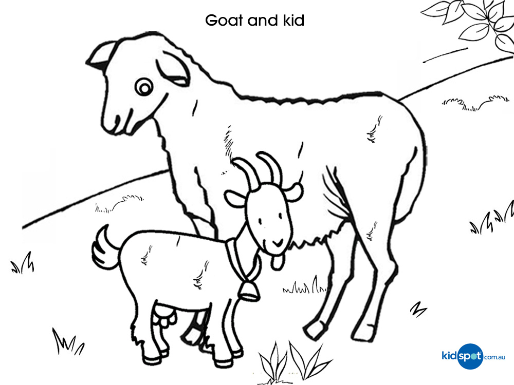 Dessin à colorier: Chèvre (Animaux) #2437 - Coloriages à Imprimer Gratuits
