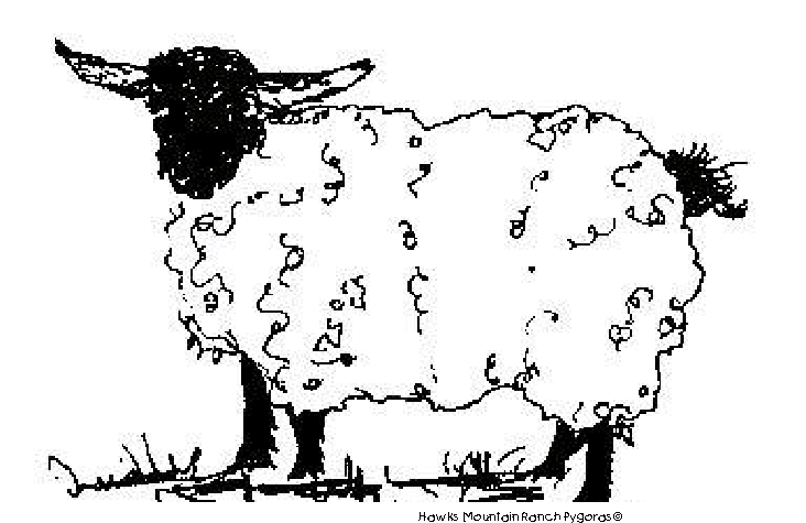 Dessin à colorier: Chèvre (Animaux) #2456 - Coloriages à Imprimer Gratuits