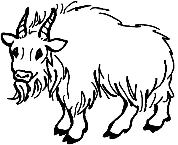 Dessin à colorier: Chèvre (Animaux) #2515 - Coloriages à Imprimer Gratuits