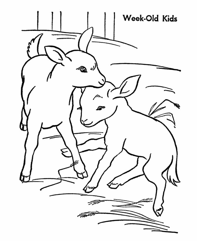 Dessin à colorier: Chèvre (Animaux) #2518 - Coloriages à Imprimer Gratuits