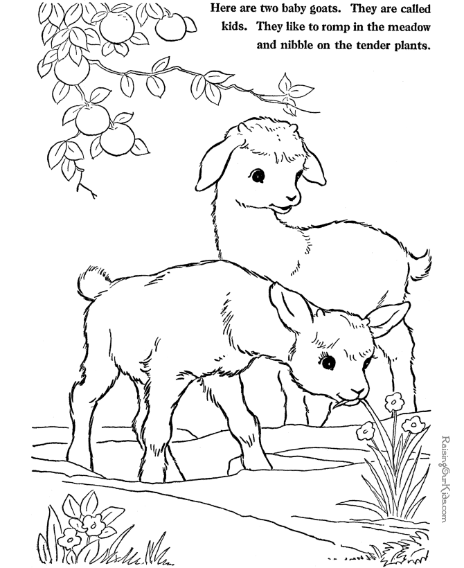 Dessin à colorier: Chèvre (Animaux) #2520 - Coloriages à Imprimer Gratuits