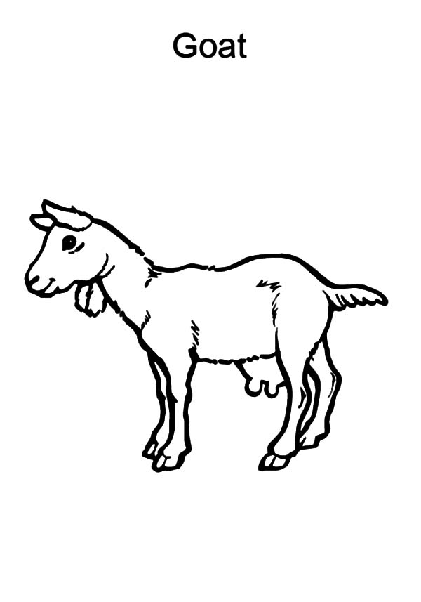 Dessin à colorier: Chèvre (Animaux) #2541 - Coloriages à Imprimer Gratuits