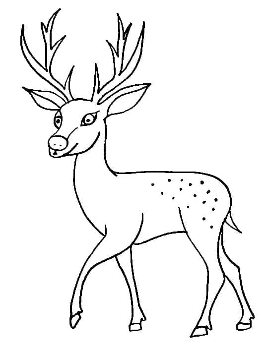 Coloriage gratuit pour enfants et adultes Chevreuil #191050, collection Animaux