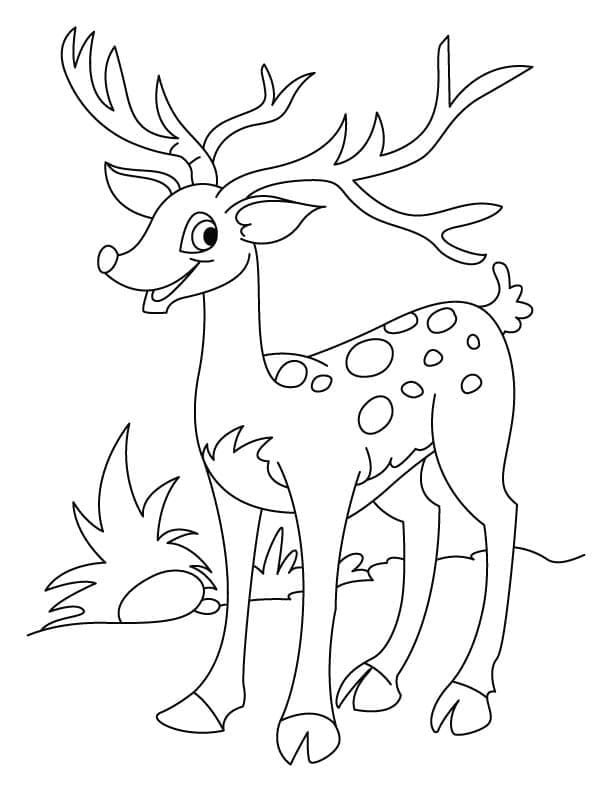 Coloriage imprimable Chevreuil #191057 de la collection Animaux à colorier aux crayons