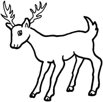 Coloriage imprimable Chevreuil #191063 de la collection Animaux à colorier aux crayons